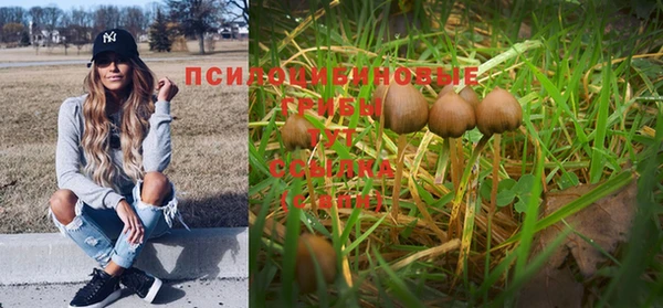 мет Алзамай